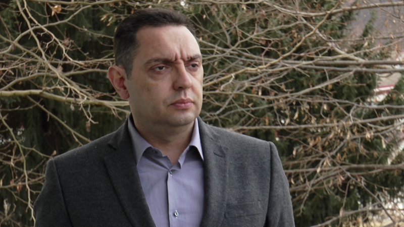 Вулин: Наш образовни систем за инвалиде не функционише добро